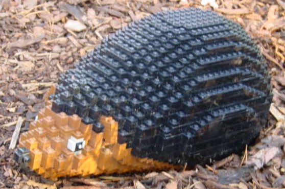 hedgehog_big.jpg