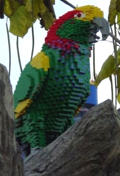parrot-2.jpg