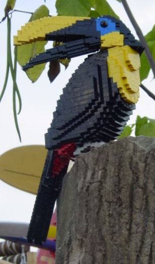 toucan-1.jpg