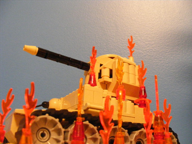 2010_0523coa0014.jpg