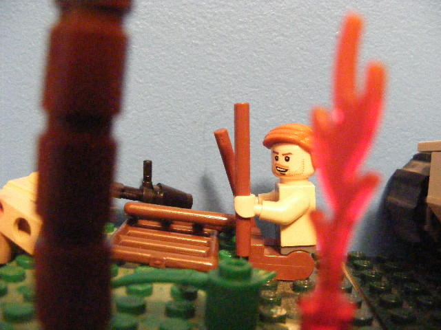 2010_0528coaclones0055.jpg