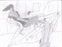 catfight.jpg