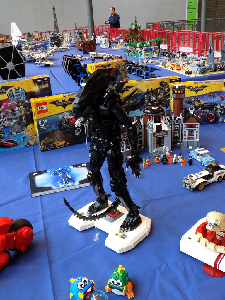 hbme2016-139.jpg