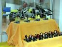 fcm2010-011.jpg