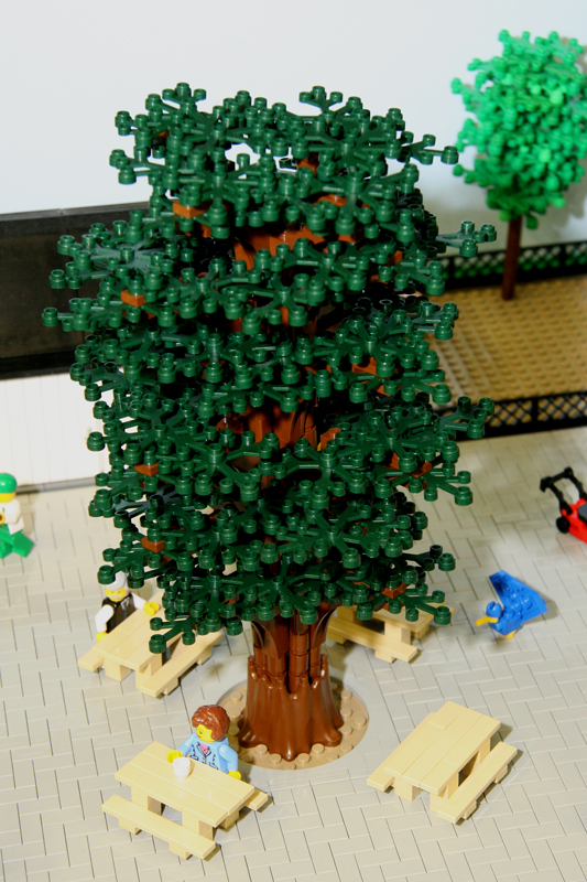 071006_8722.jpg