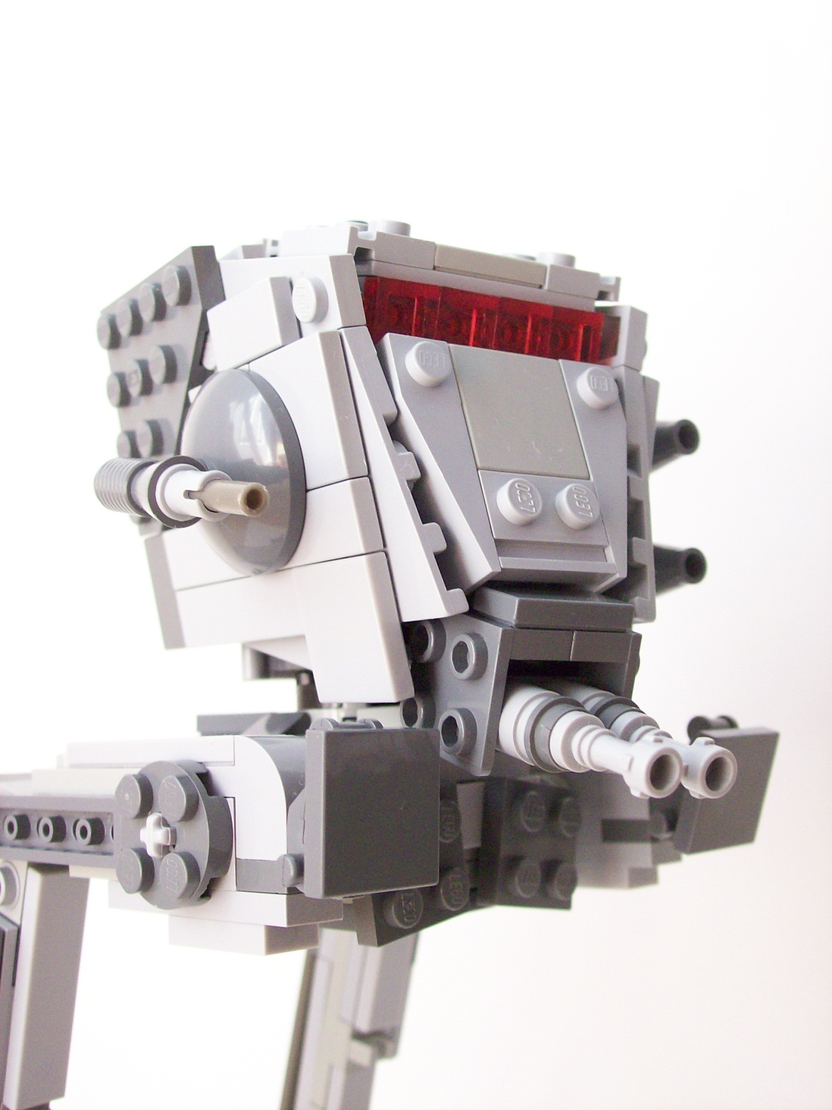 head_close-up.jpg