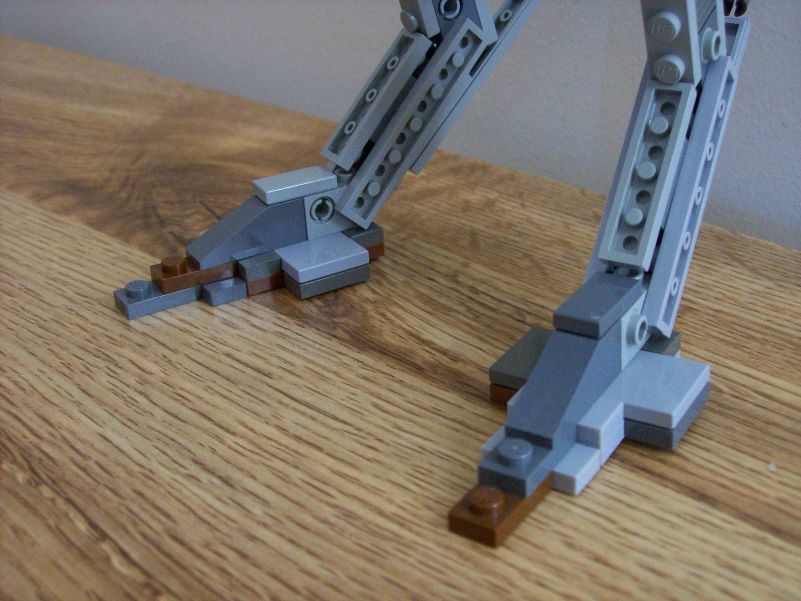 walker_feet.jpg