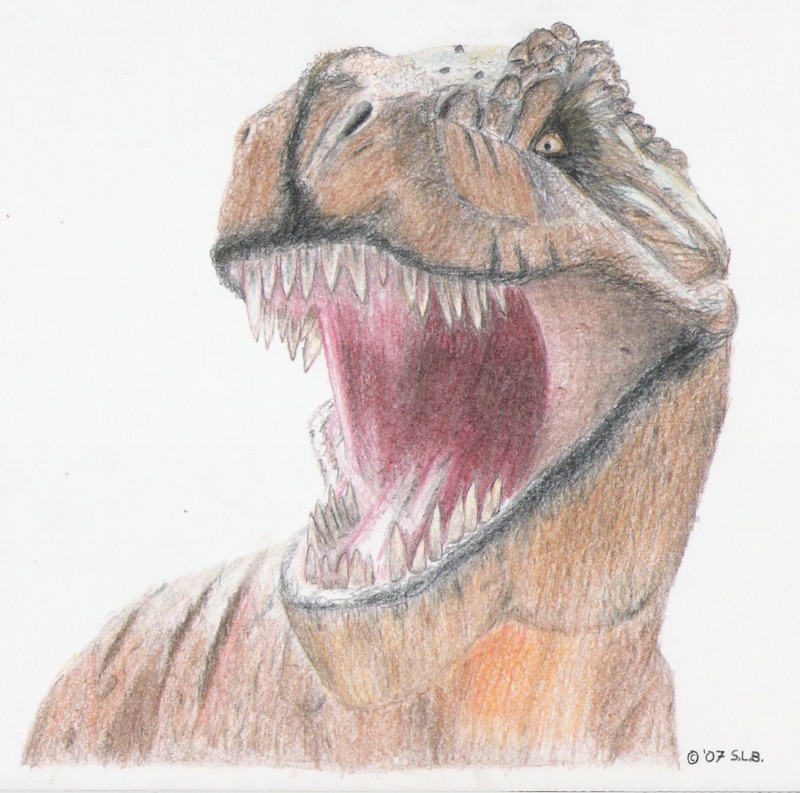 t-rex.jpg