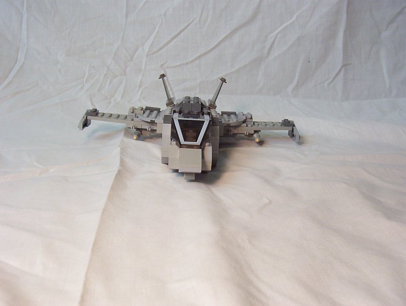 tsf-1_02.jpg