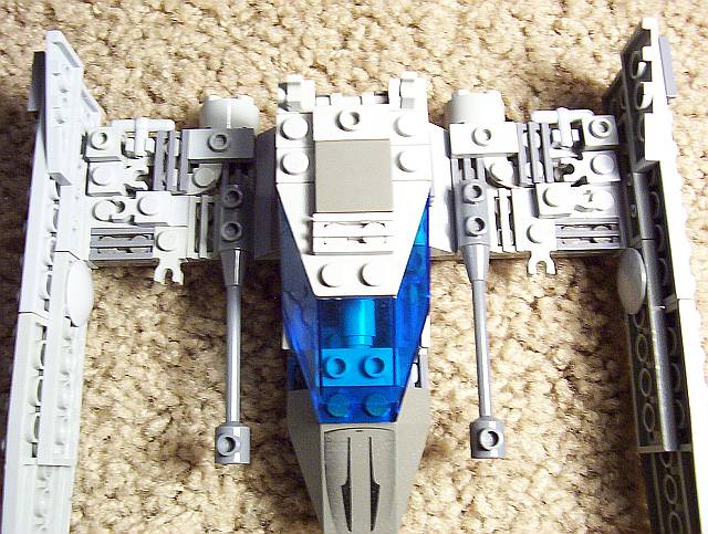 greyraptor_the_003.jpg