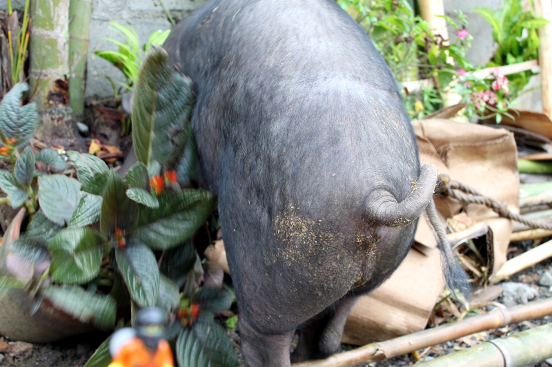 09_2011_06_19_1567.jpg