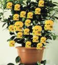 lemo_tree.gif