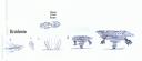 watrex_2.gif