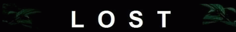 lost.gif