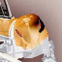 rol.gif