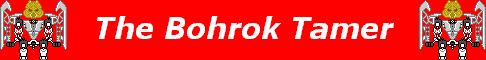 bohroktamersilver.jpg