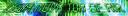 newbanner.jpg