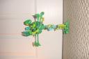 dsc00052.jpg
