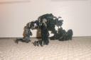 dsc00053.jpg