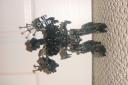 dsc00054.jpg