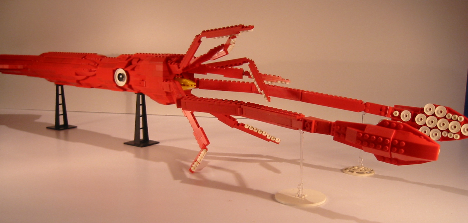 a_giantsquid.jpg