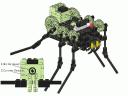 cspider1.jpg