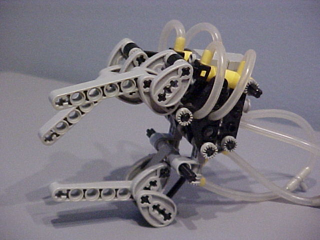 1oldhexrearhand12.jpg