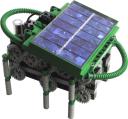 solarbug3.jpg