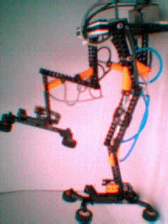 walker001.jpg