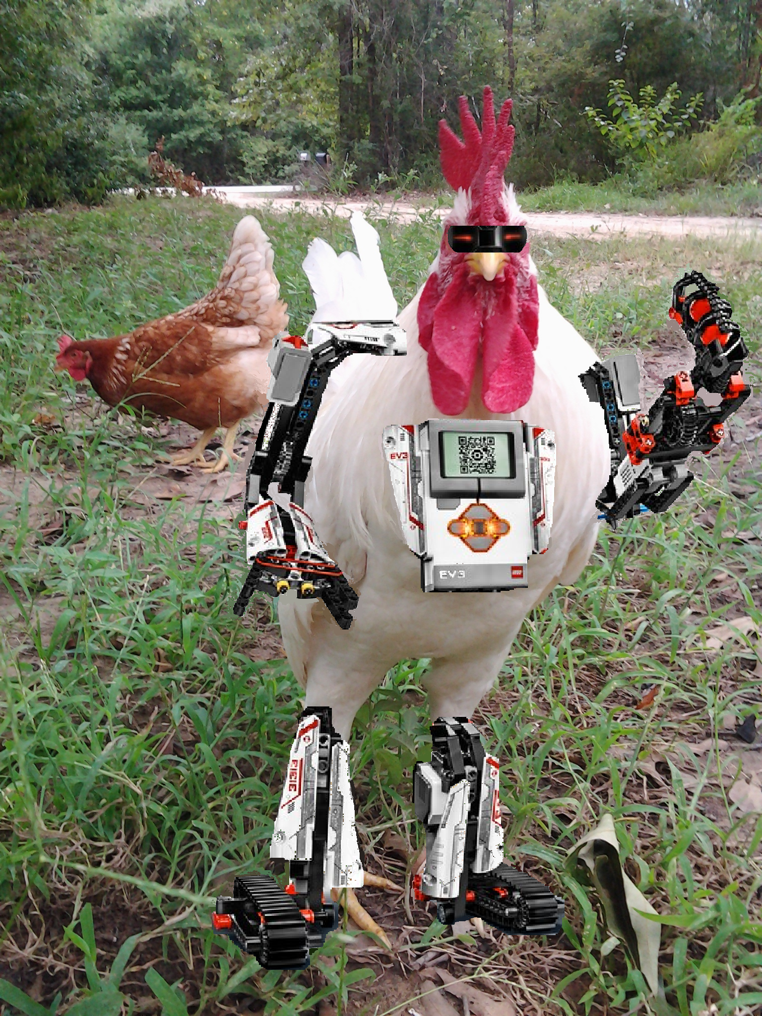 roost3r_retail_ev3.png