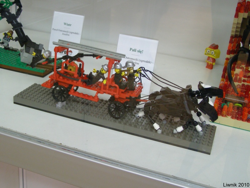 p7208315s.jpg