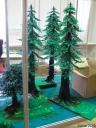 p7097787sd2.jpg