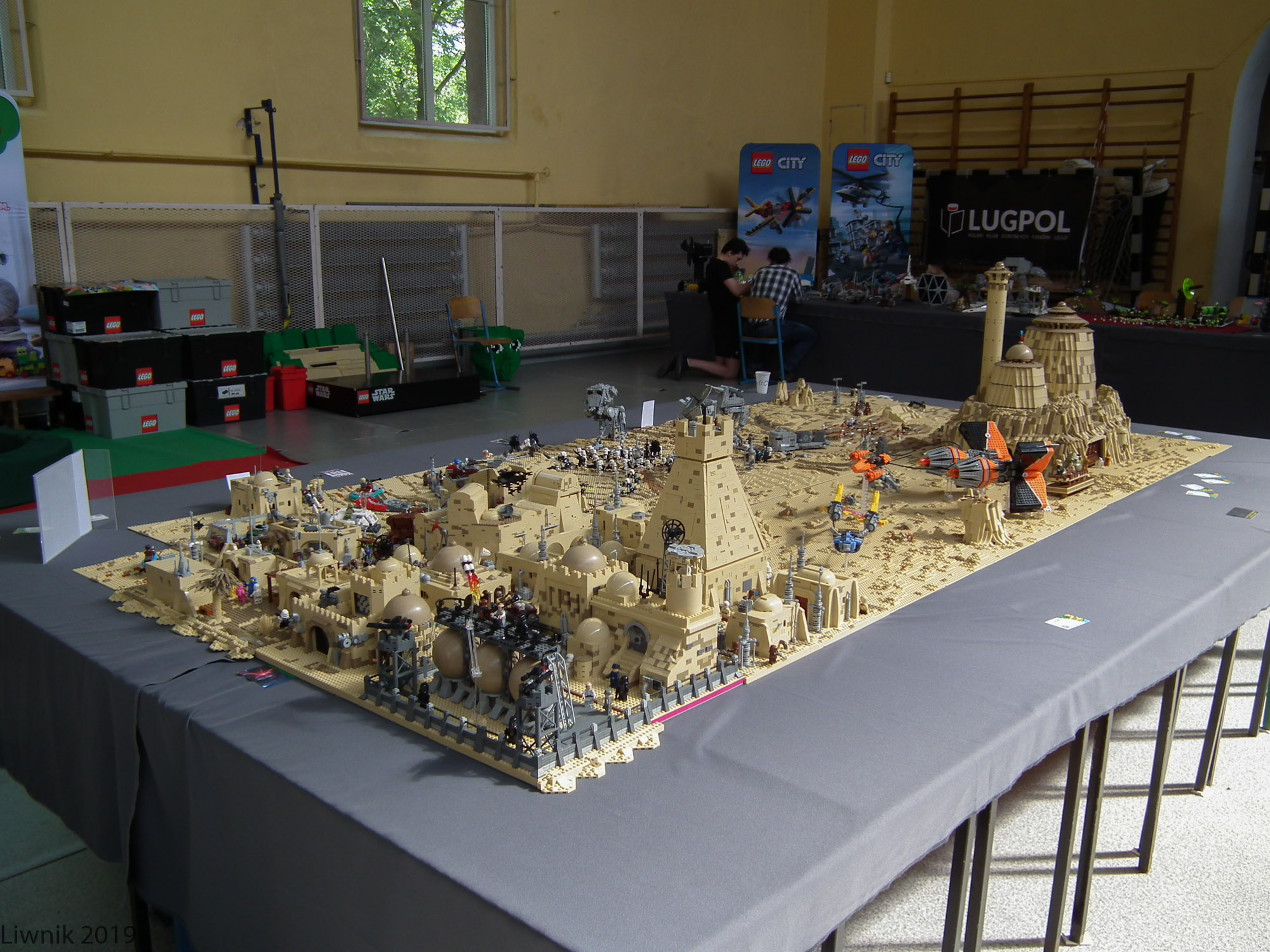 t-dscf9572cs.jpg