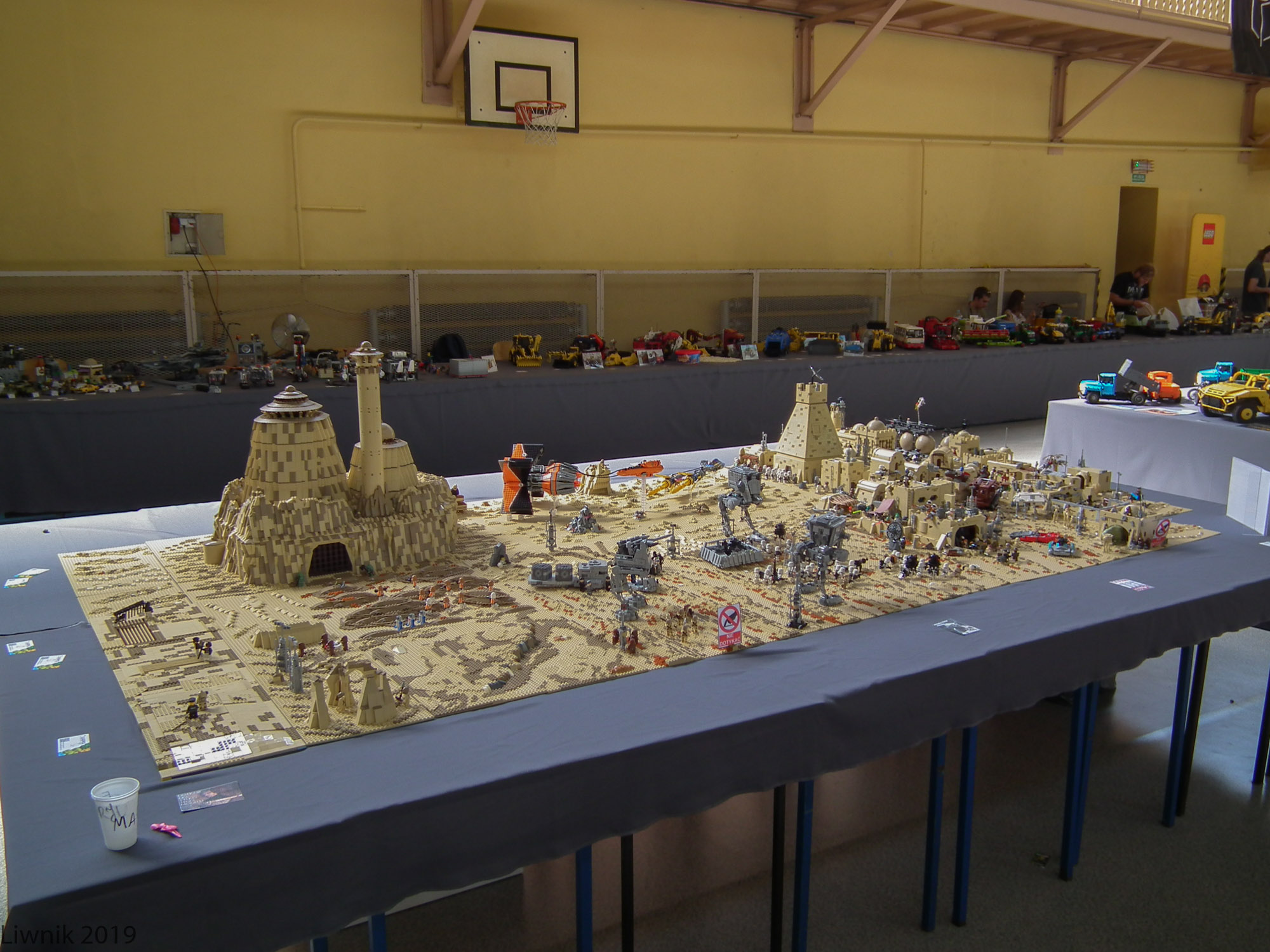 t-dscf9580cs.jpg