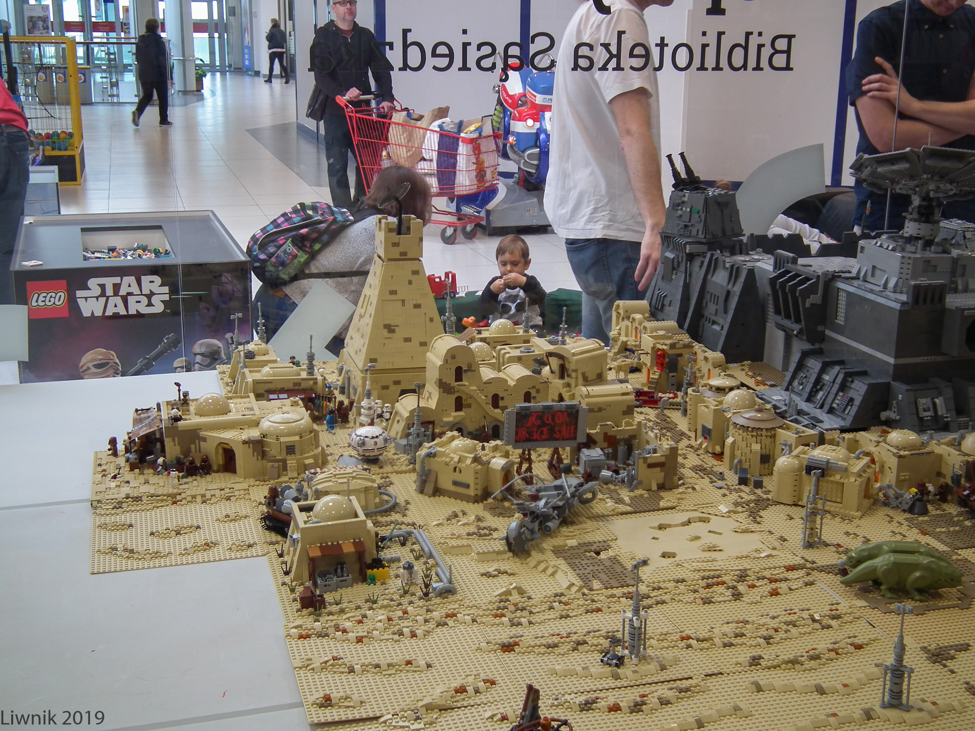 t-dscf2528cs.jpg