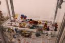 img_2783s.jpg