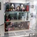 img_4930cs.jpg