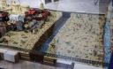 w-img_5096cs.jpg