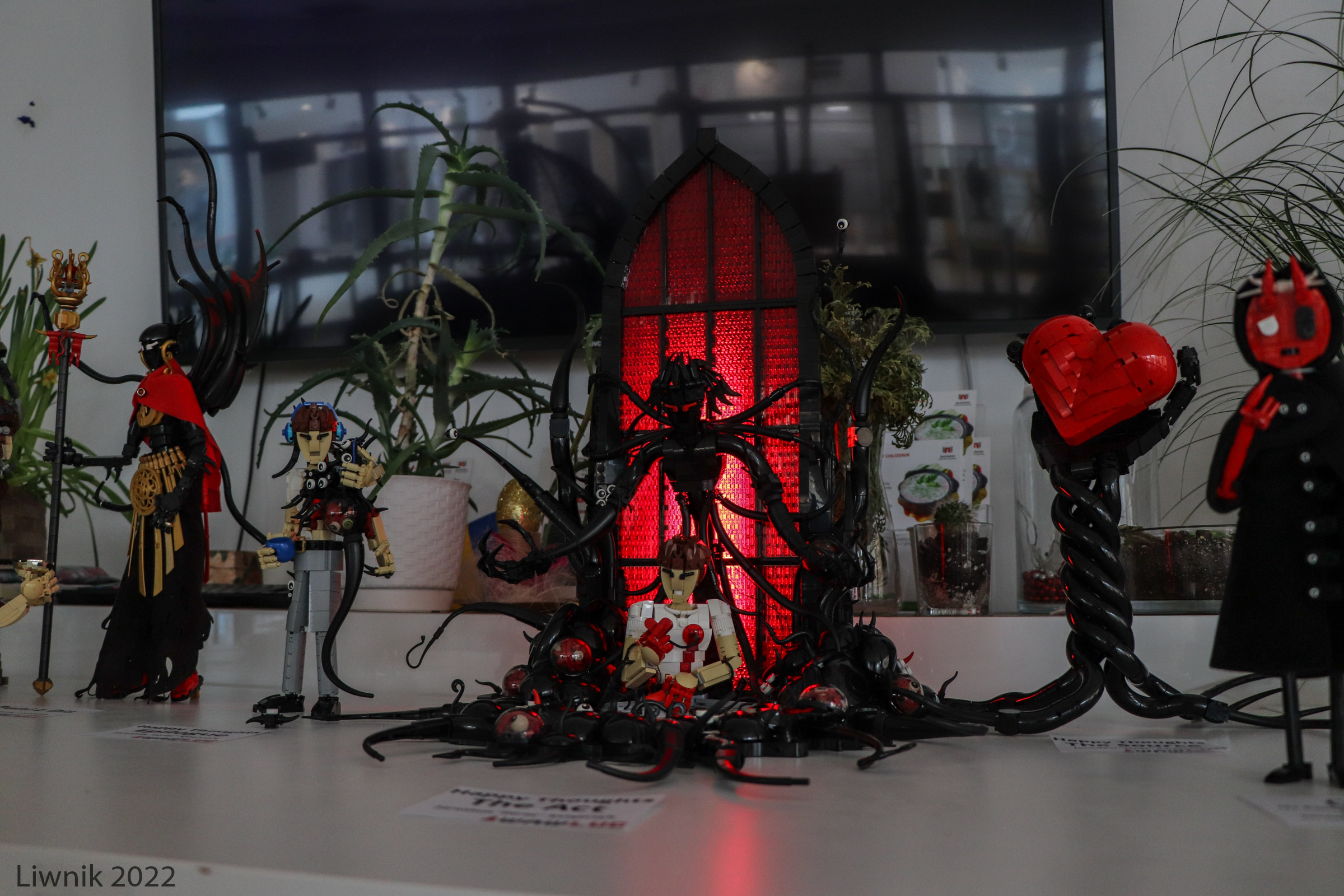 j-img_7362cs.jpg