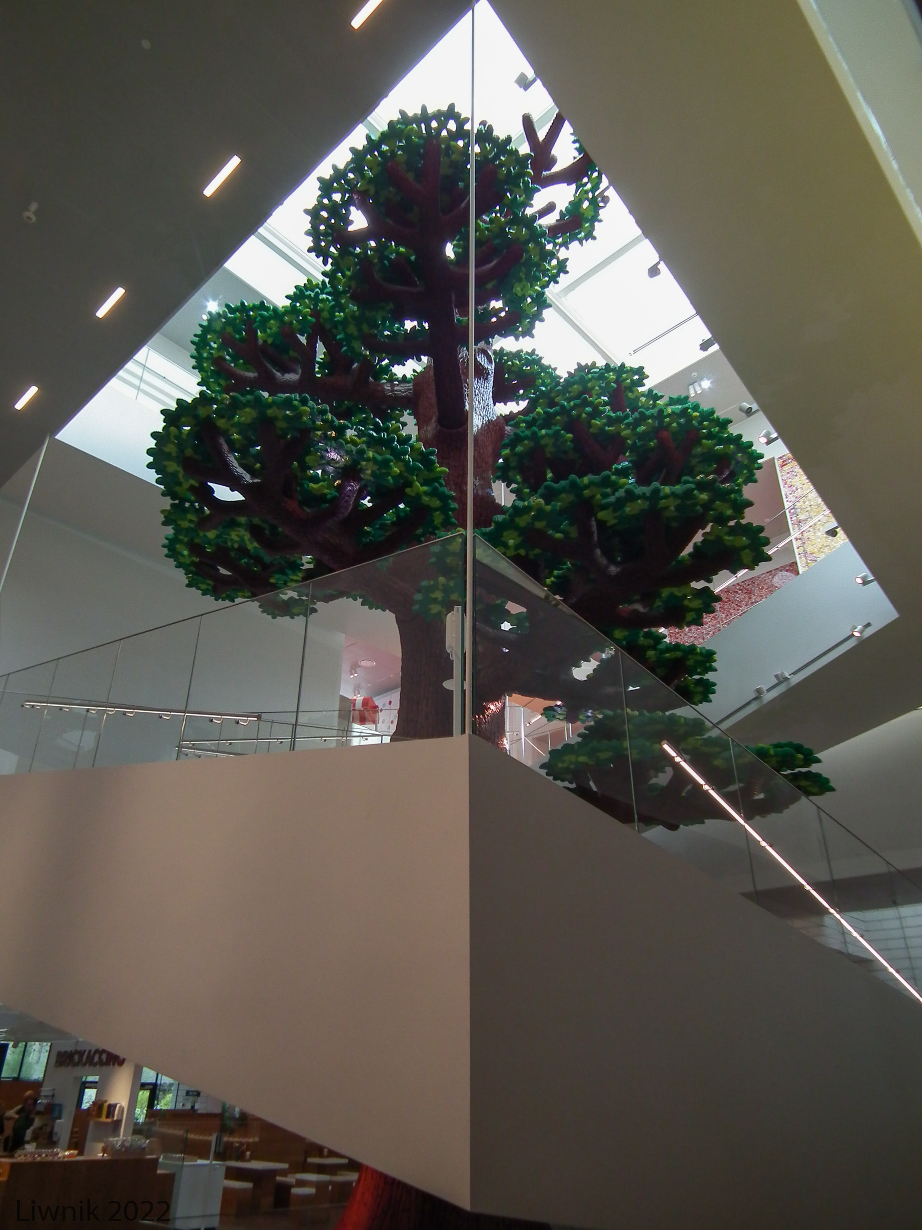 dscf8776cs.jpg