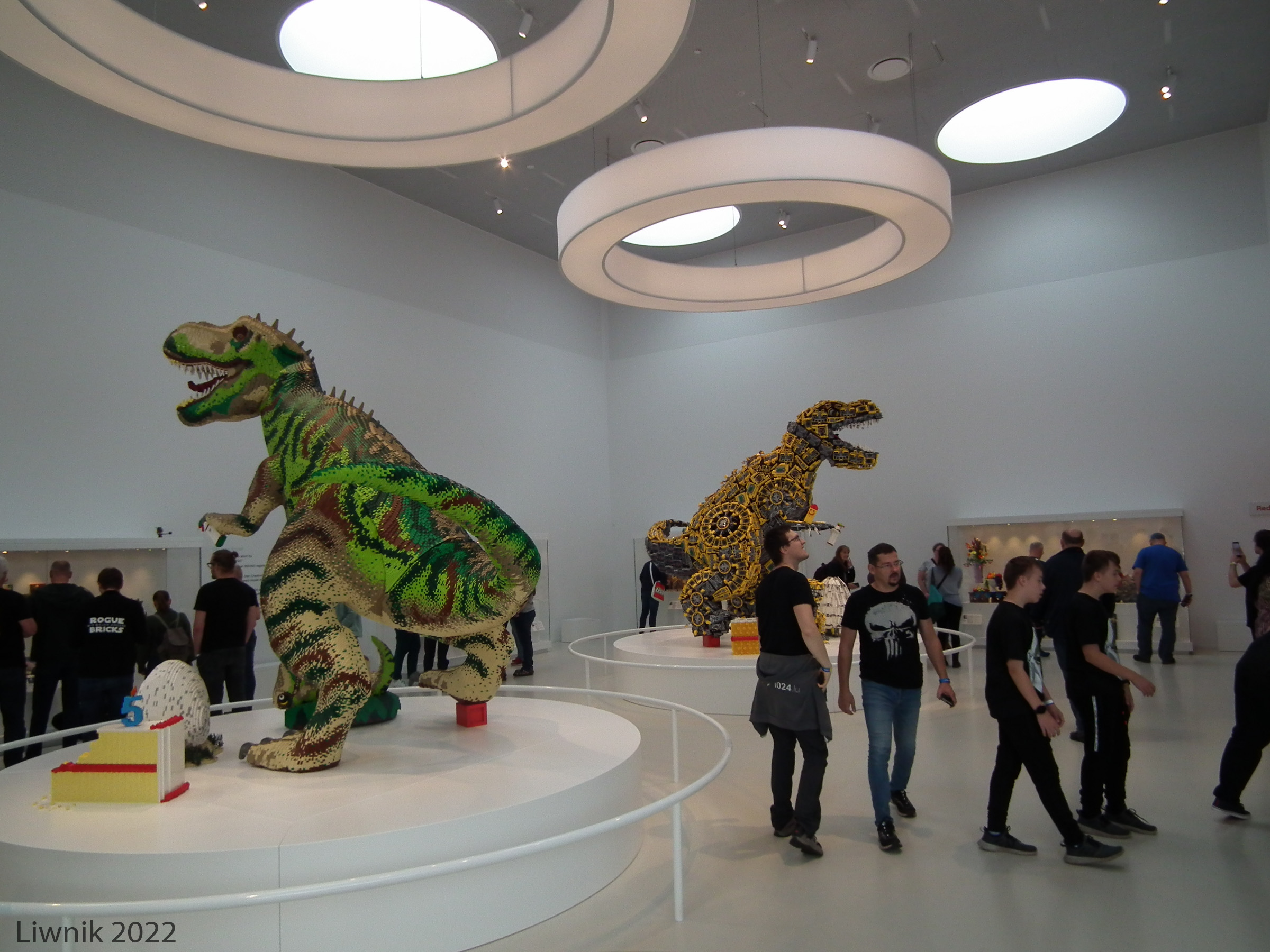 dscf8795cs.jpg