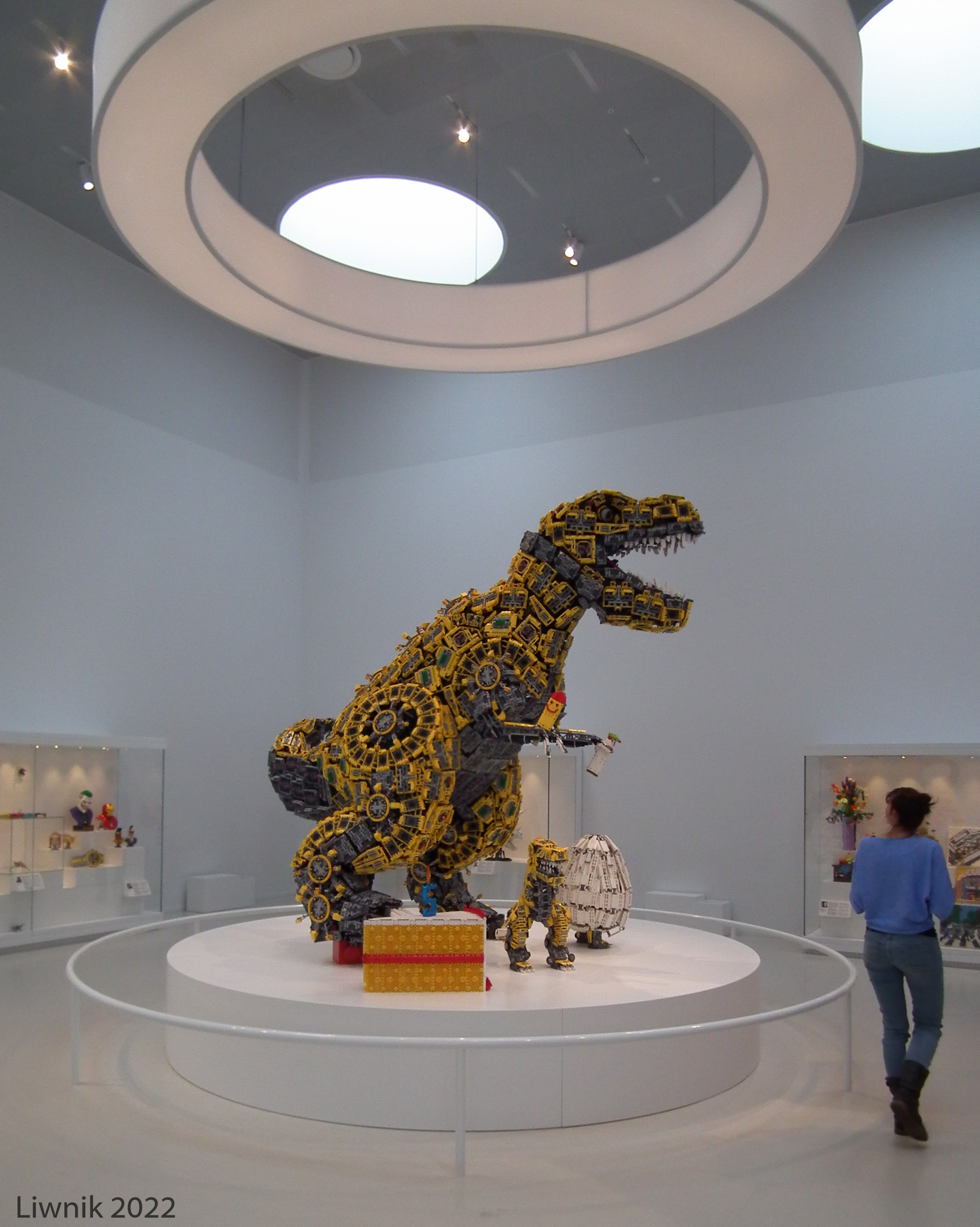 dscf8815cs.jpg