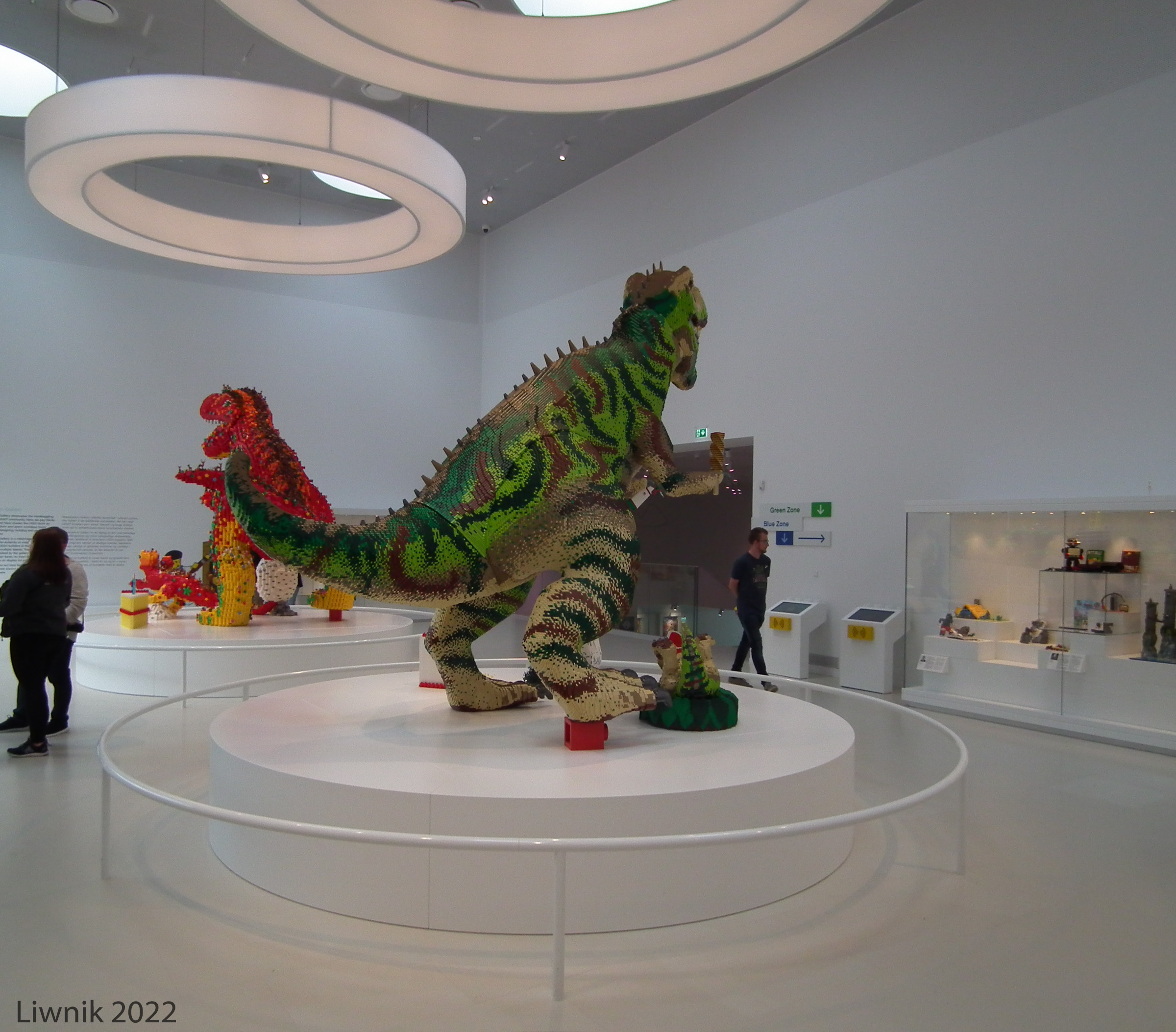 dscf8816cs.jpg