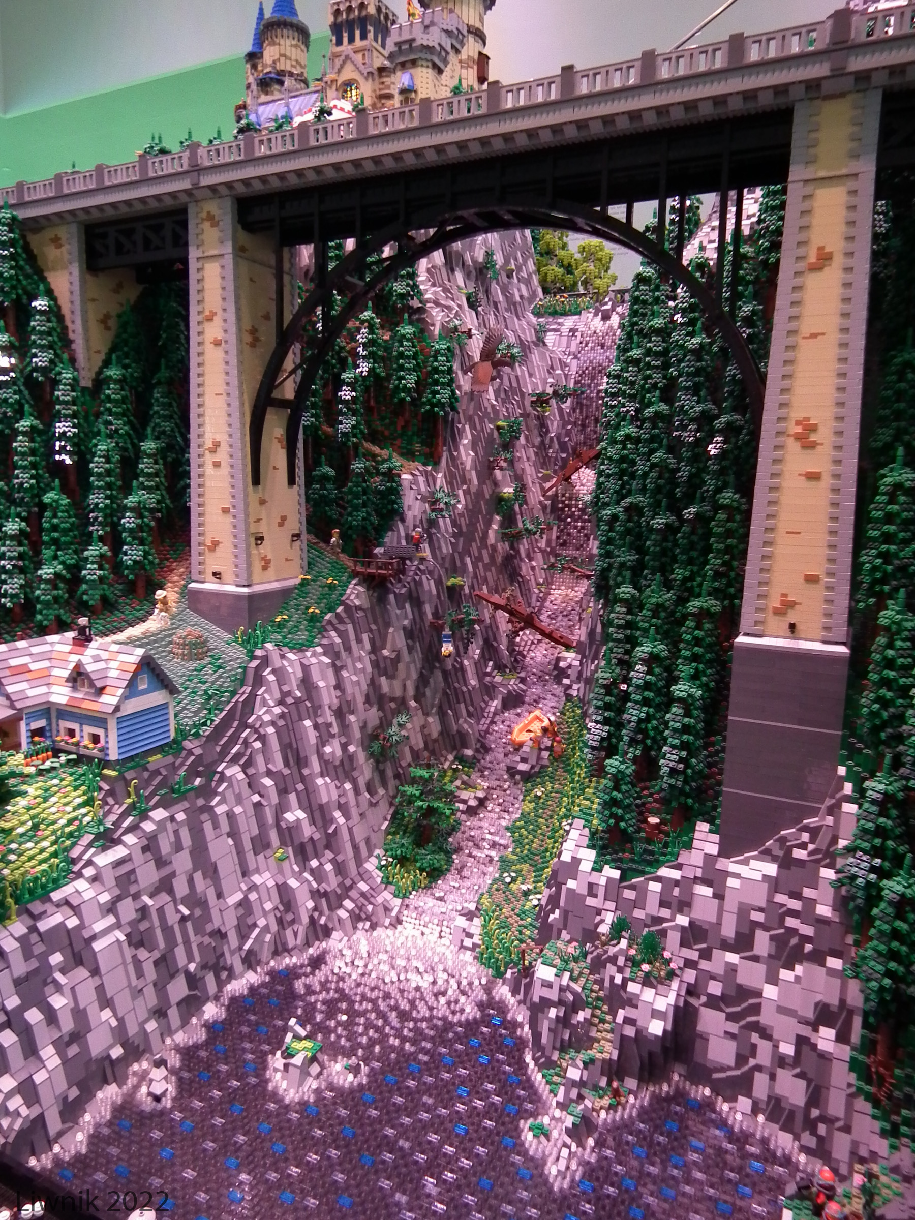 dscf8986cs.jpg