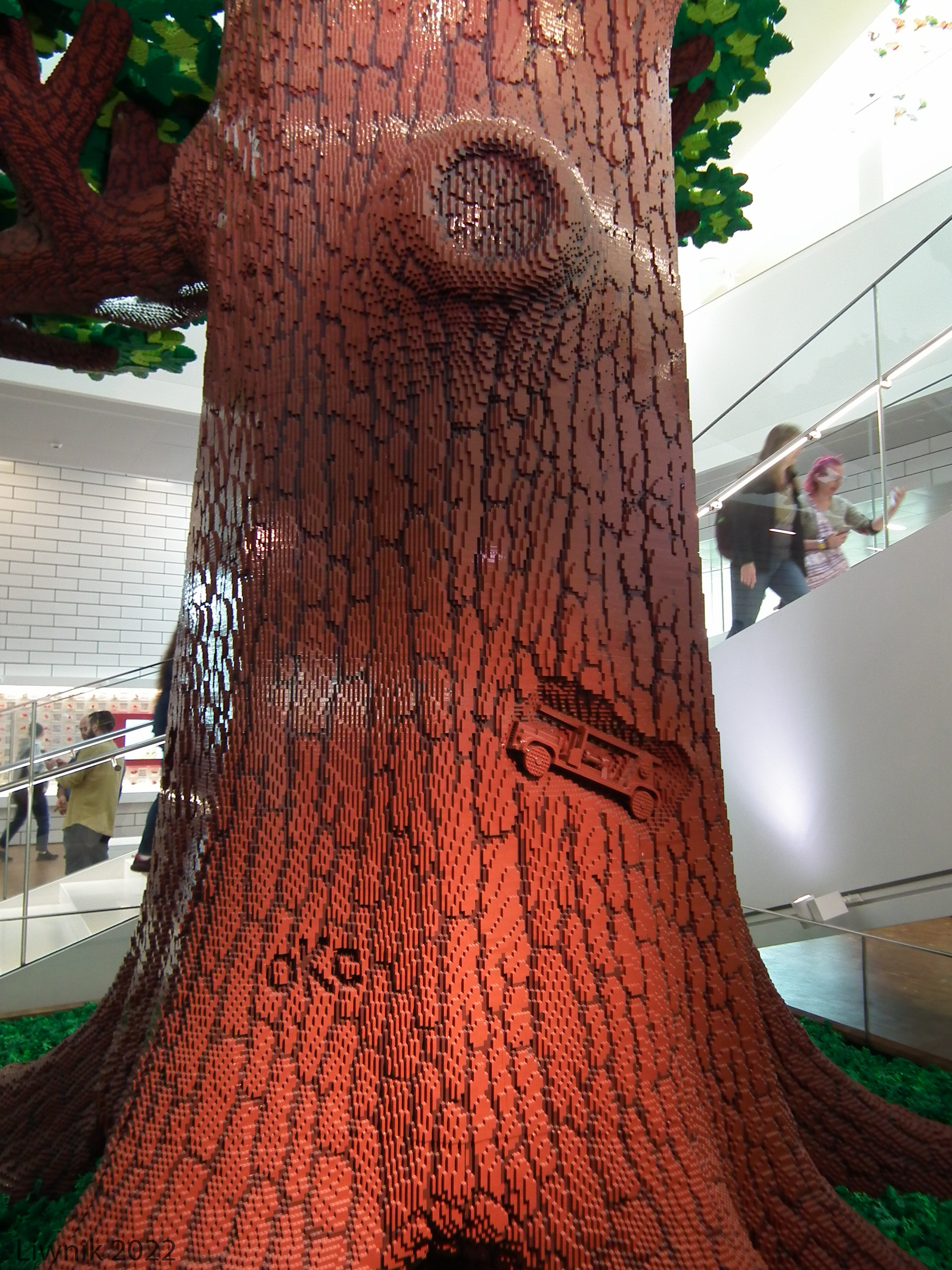 tree-dscf8780cs.jpg