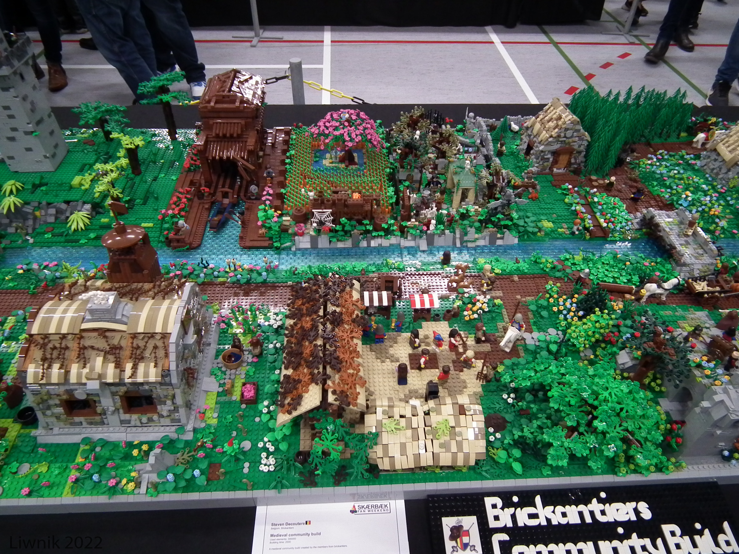 dscf9128cs.jpg