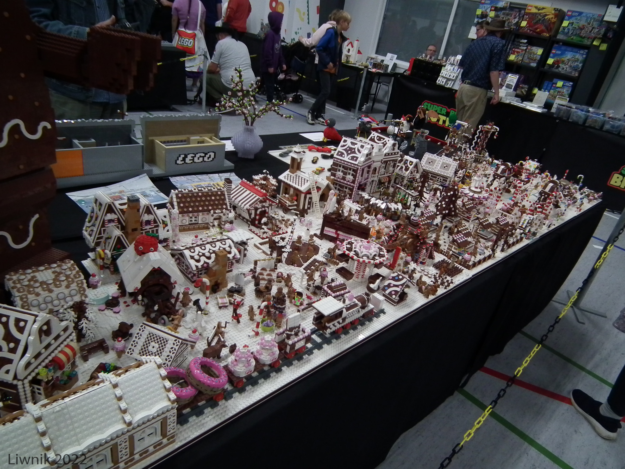 dscf9957cs.jpg