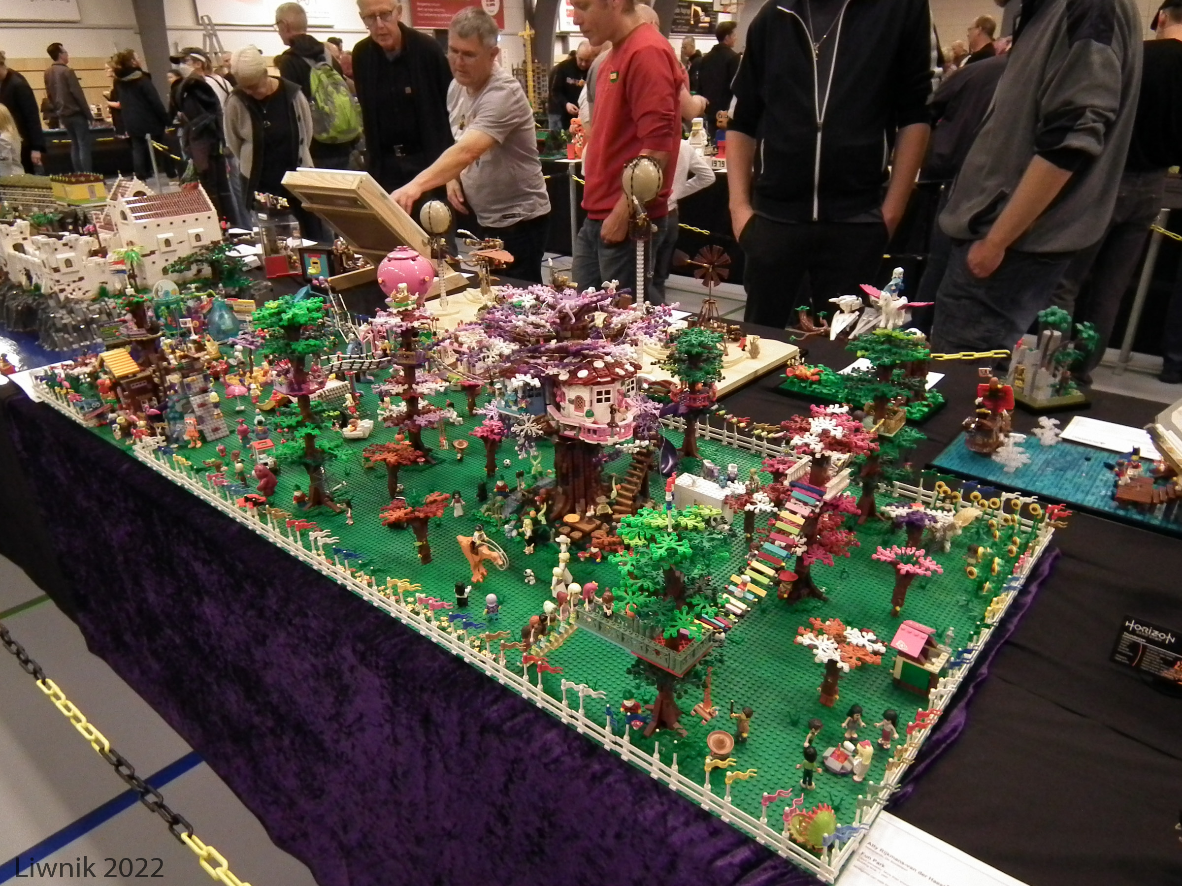 dscf9654cs.jpg