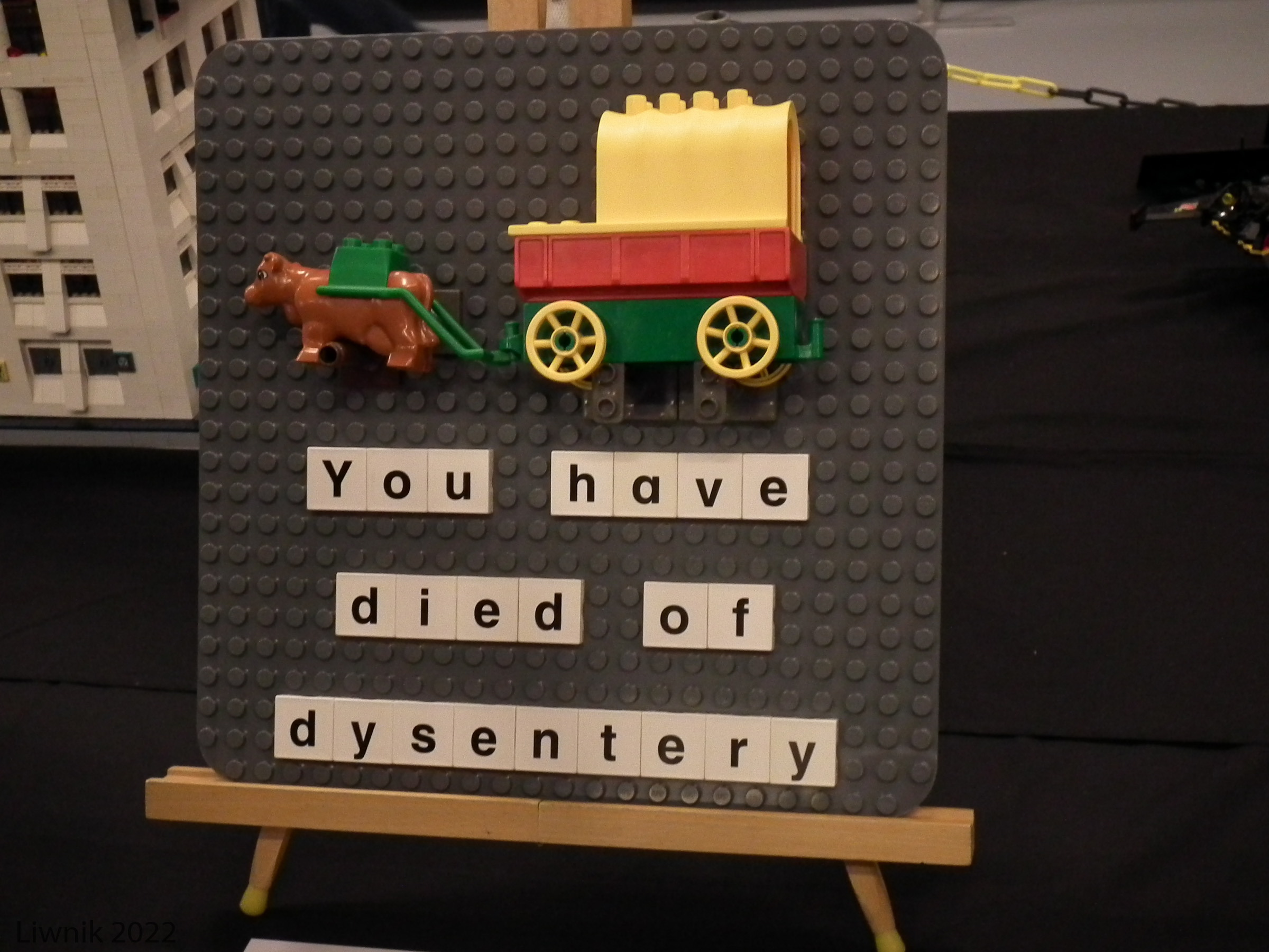 dscf9667cs.jpg