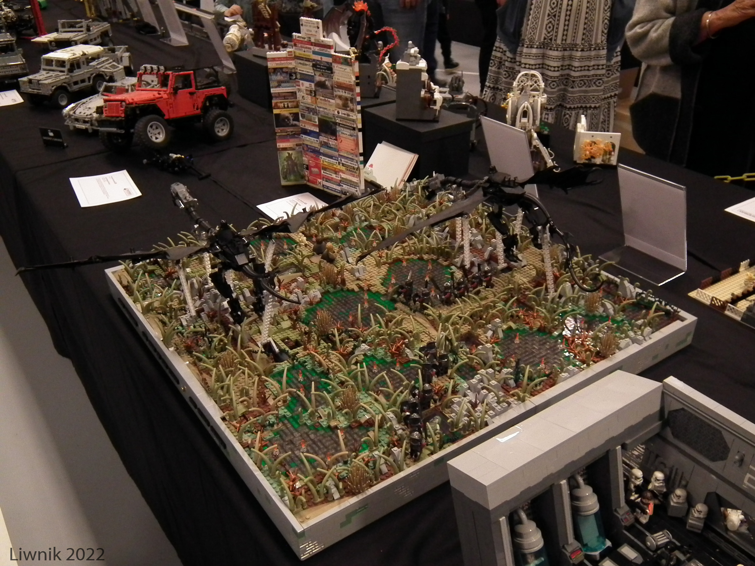dscf9780cs.jpg